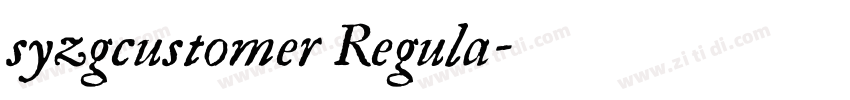 syzgcustomer Regula字体转换